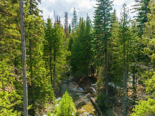 Piper Creek holds Westslope Cutthroat | Image 25