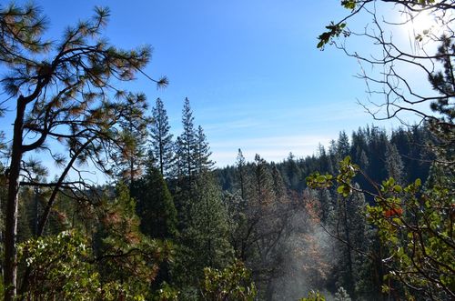 1703 War Hawk Way, Arnold, CA, 95223-7227 | Card Image