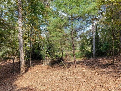 Lt 40 Pleasant Meadows, Blairsville, GA, 30512 | Card Image
