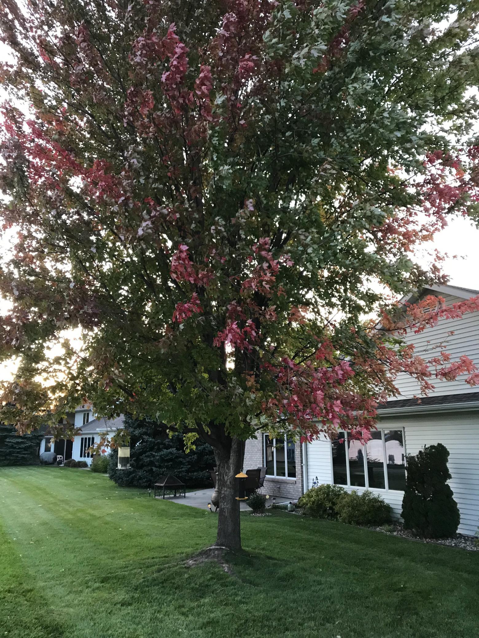 Residential in Detroit Lakes