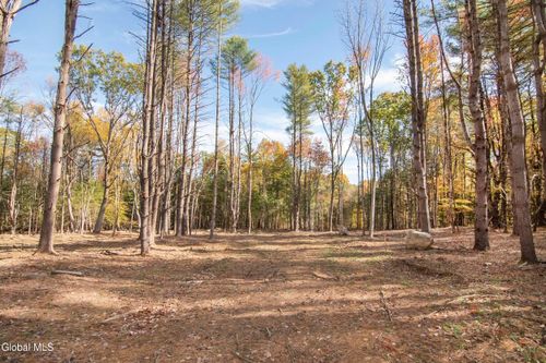 113 Sandhill Rd, Greenfield Center, NY, 12833-1207 | Card Image