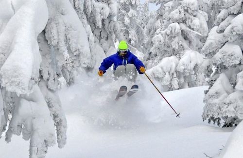 9 Top Notch Rd, Bartlett, NH, 03812 | Card Image