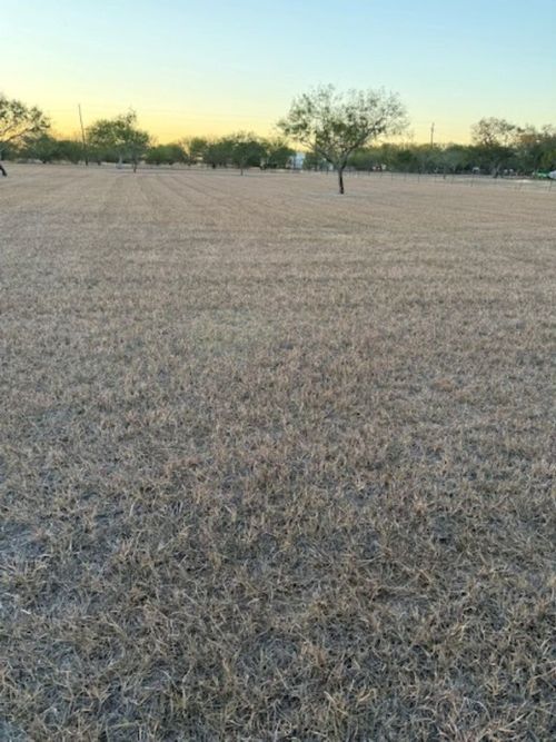 3872 Cobb Ln, Robstown, TX, 78380-9447 | Card Image