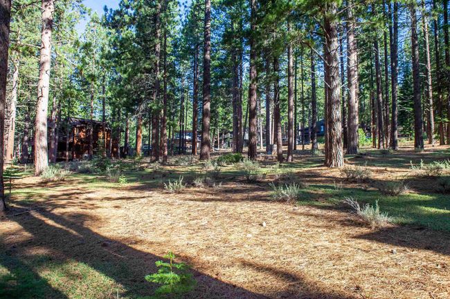11561 Bottcher Loop, Home with 0 bedrooms, 0 bathrooms and null parking in Truckee CA | Image 14