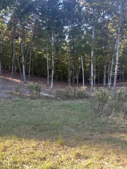 Lot 42 Ridge Dr, Morganton, GA, 30560 | Card Image