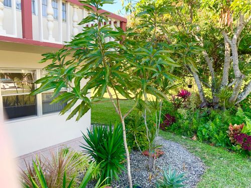 39 Sussex B, West Palm Beach, FL, 33417-6821 | Card Image