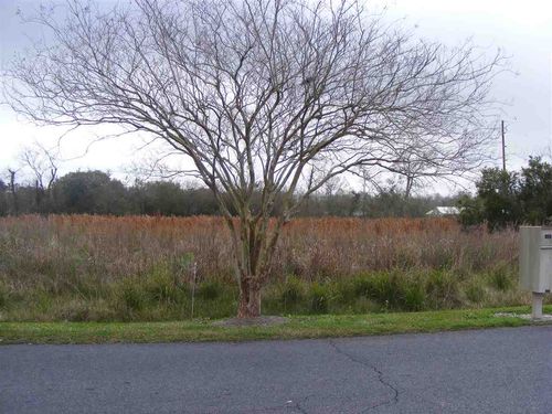 TBD-2 W 134th Pl, Cut Off, LA, 70345 | Card Image