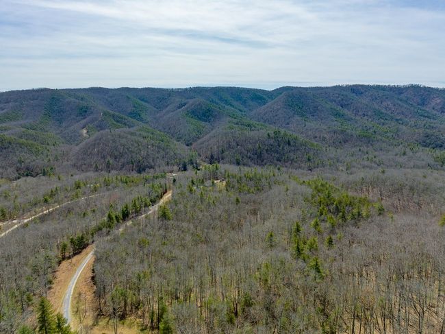 Lot 6 N Sunset Lane, Home with 0 bedrooms, 0 bathrooms and null parking in Bland VA | Image 13