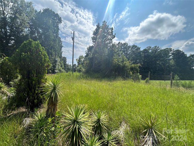 5630 Woodsferry Rd, Home with 0 bedrooms, 0 bathrooms and null parking in Carlisle SC | Image 4