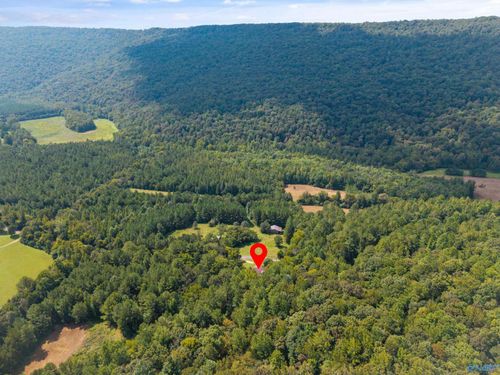 5-3818 -5 County Road 4, Hollytree, AL, 35751-5421 | Card Image