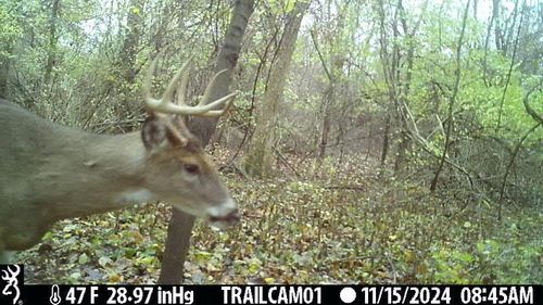 27 Mi, Albion, MI, 49224 | Card Image