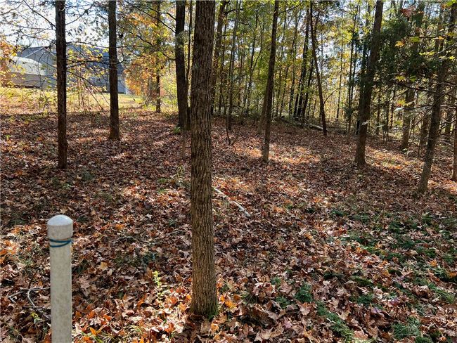 Property line goes into the woods, beyond the yard | Image 22