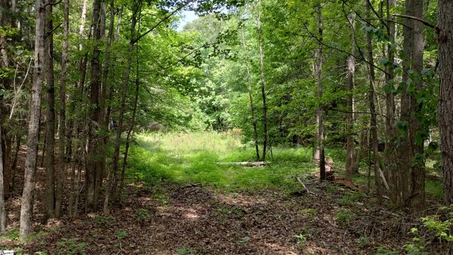 00 Fort Lindley Rd, Home with 0 bedrooms, 0 bathrooms and null parking in Laurens SC | Image 12
