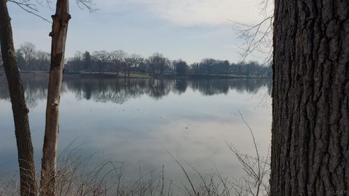 756 Eagle View Way, Tecumseh, MI, 49286-1200 | Card Image