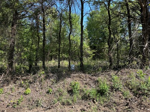 Tract 13 County Road 2951, Honey Grove, TX, 75446 | Card Image