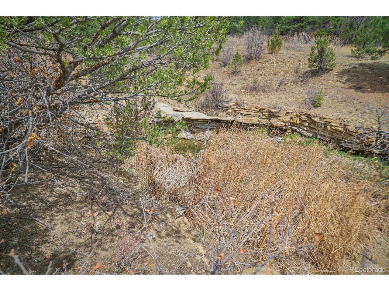 Land in Weston 5