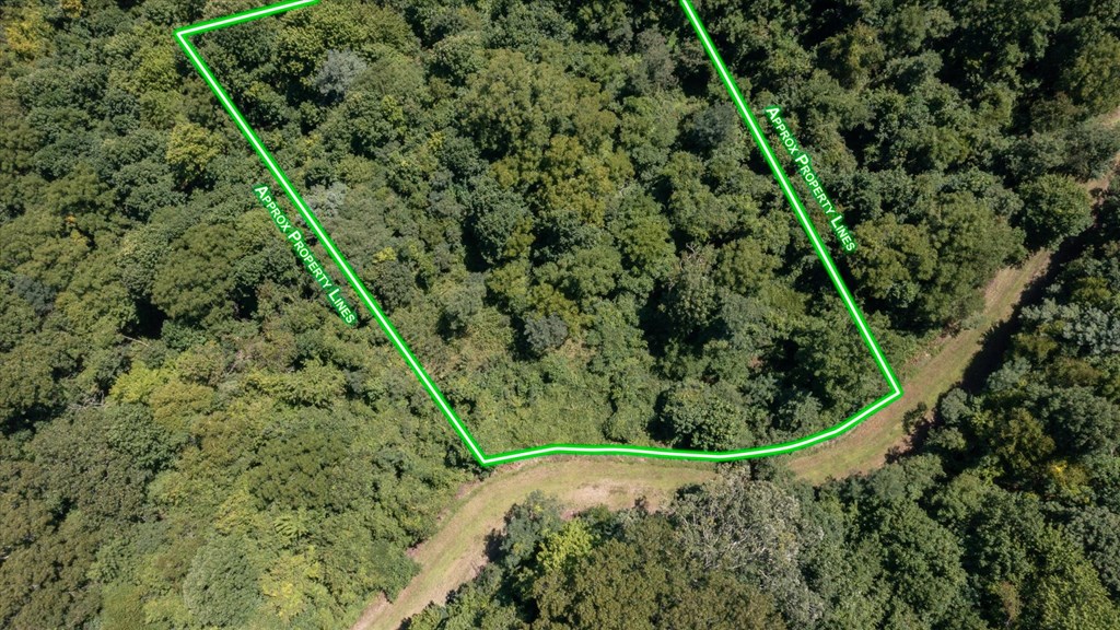 Land in Waynesville 3