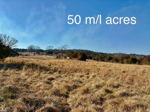 000 County Road 900, Theodosia, MO, 65761 | Card Image