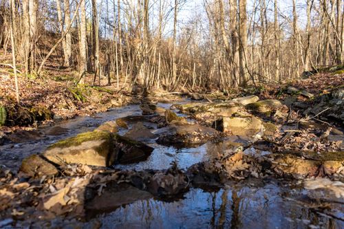 Lot 1 Frost Run, Moatsville, WV, 26405-8460 | Card Image