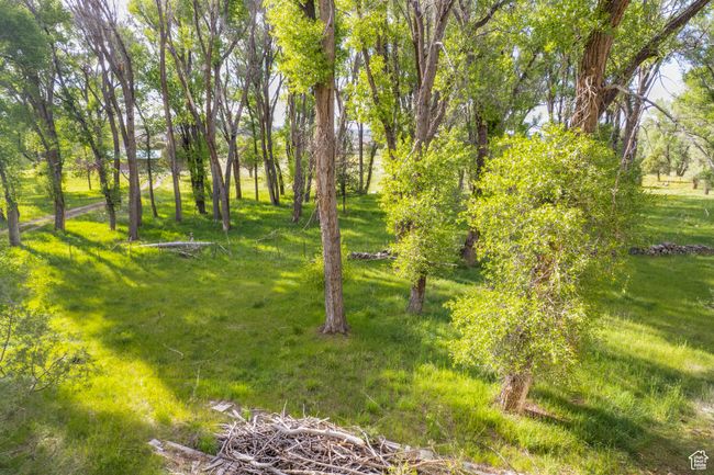 View of yard | Image 33