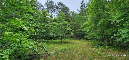 TBD County Road 3230, Clarksville, TX, 75426 | Card Image