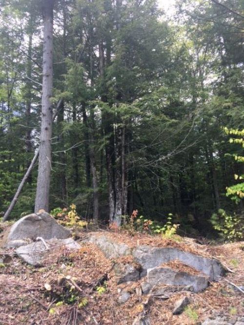 11-206-011 Lost River Rd, North Woodstock, NH, 03262-2419 | Card Image