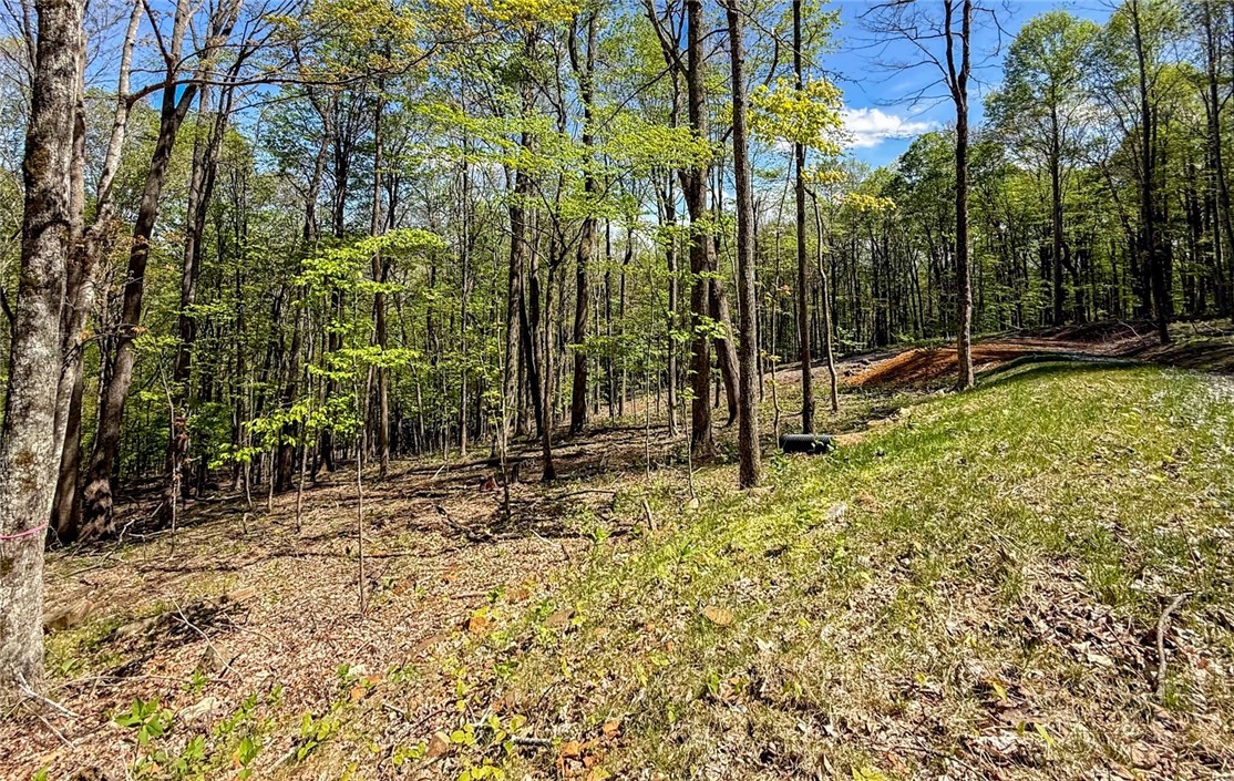 Land in West Jefferson 3