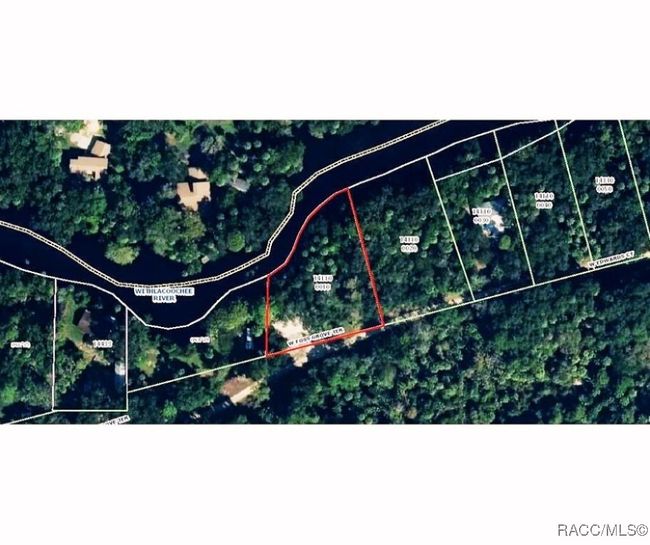12445 W Foss Groves Path, Home with 0 bedrooms, 0 bathrooms and null parking in INGLIS FL | Image 20