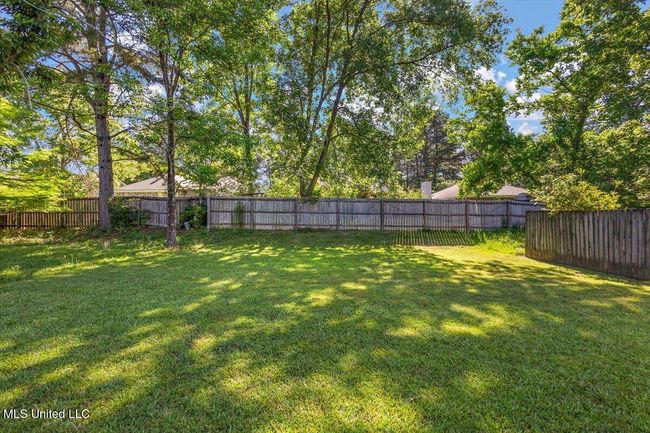 BACK YARD | Image 20