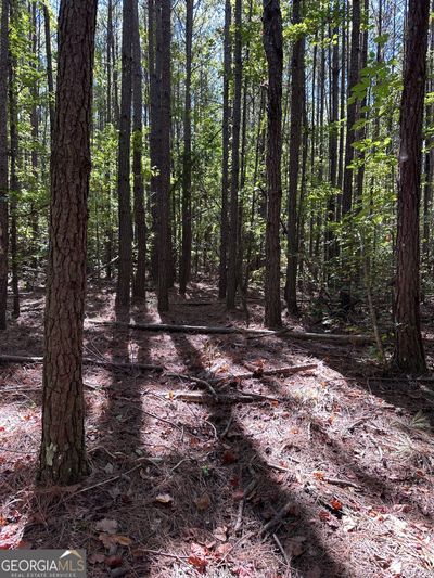 13.6 AC Crimson Rd, Home with 0 bedrooms, 0 bathrooms and null parking in Luthersville GA | Image 2