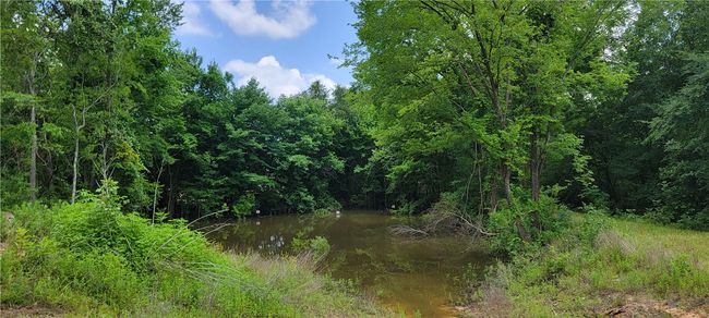 5135 Old Boone Prairie Rd, House other with 3 bedrooms, 3 bathrooms and null parking in Franklin TX | Image 6