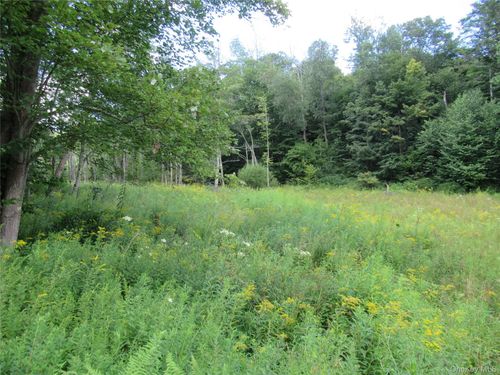 TBD Ferndale Rd, Ferndale, NY, 12734 | Card Image