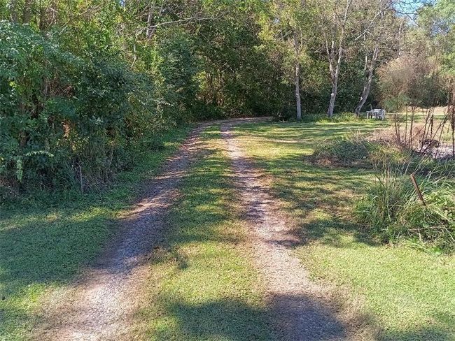 View of road featuring a wooded view | Image 6