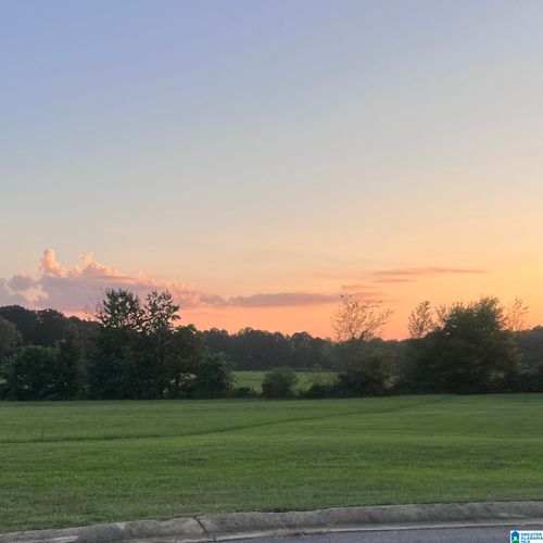 lot-35-8415 Daniel Trail, DORA, AL, 35062 | Card Image