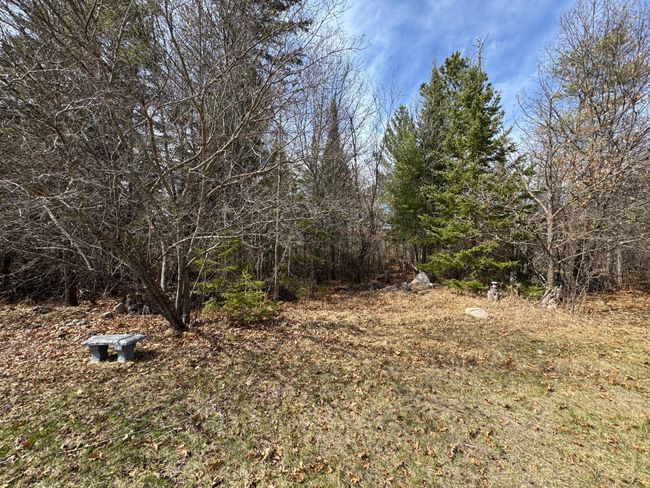 Backyard | Image 46