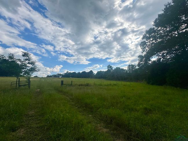 TBD 2174 Tbd 2174, Home with 0 bedrooms, 0 bathrooms and null parking in Tatum TX | Image 14