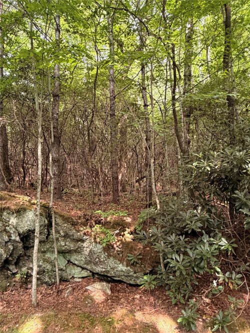 120 Buckberry Dr, Sapphire, NC, 28774-9407 | Card Image