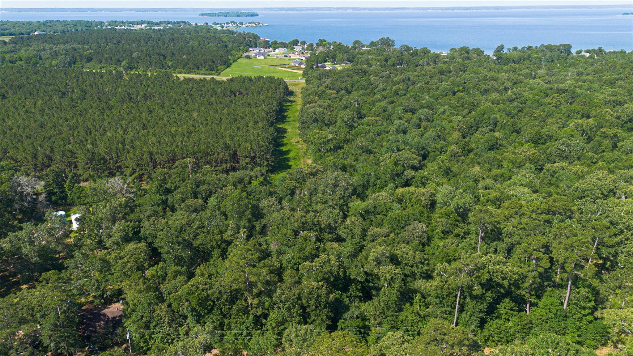Land in Livingston 5
