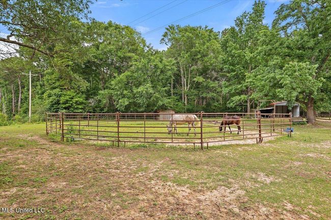 43-1563 Dry Creek Rd | Image 44