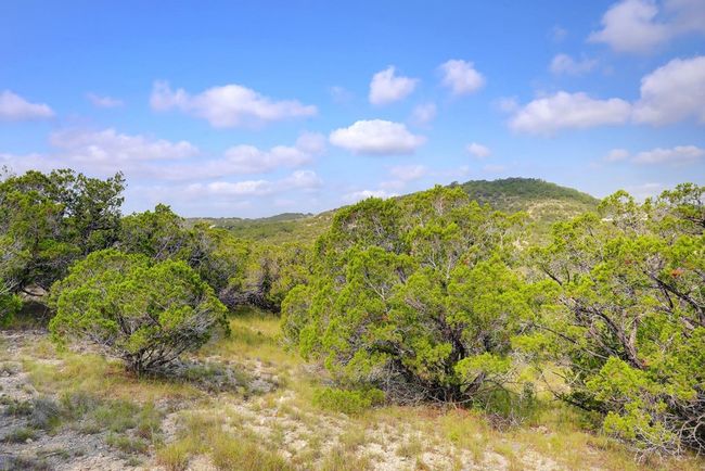 RMKS - 129 & 130 W Lynx Cv, Home with 0 bedrooms, 0 bathrooms and null parking in Blanco TX | Image 22