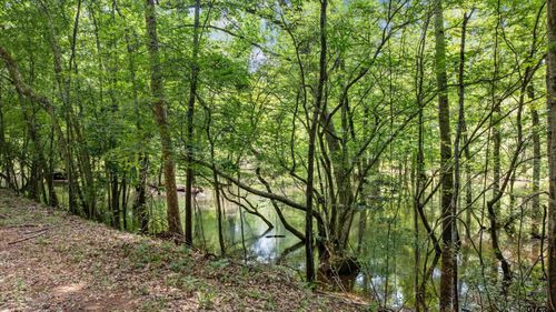 1546 County Road 2214, Rusk, TX, 75785 | Card Image