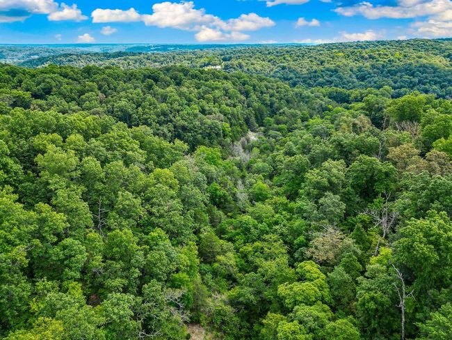 1106 Boone Hollow Rd, Home with 0 bedrooms, 0 bathrooms and null parking in Powell MO | Image 15