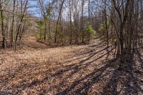 134 Callalantee Dr, Mountain City, TN, 37683 | Card Image