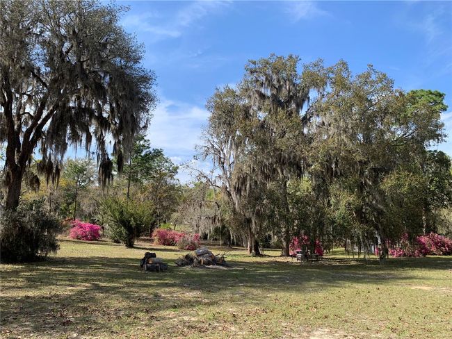 24645 Ne 177 Th Ter, House other with 2 bedrooms, 1 bathrooms and null parking in Fort Mc Coy FL | Image 94