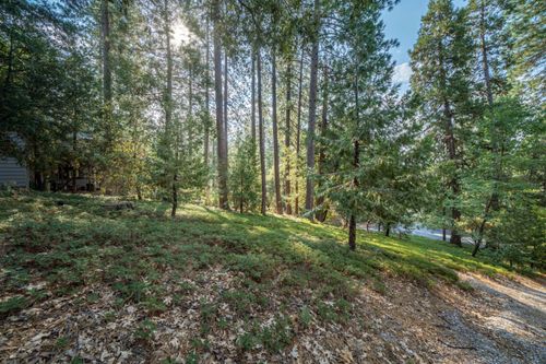 51 Canterwood Ln, Murphys, CA, 95247-9774 | Card Image