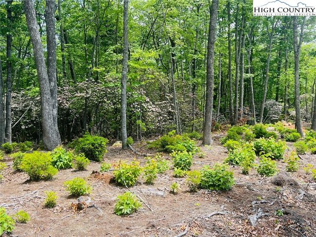 39 Wildcat Wilderness Reserve Parkway, Home with 0 bedrooms, 0 bathrooms and null parking in Deep Gap NC | Image 9