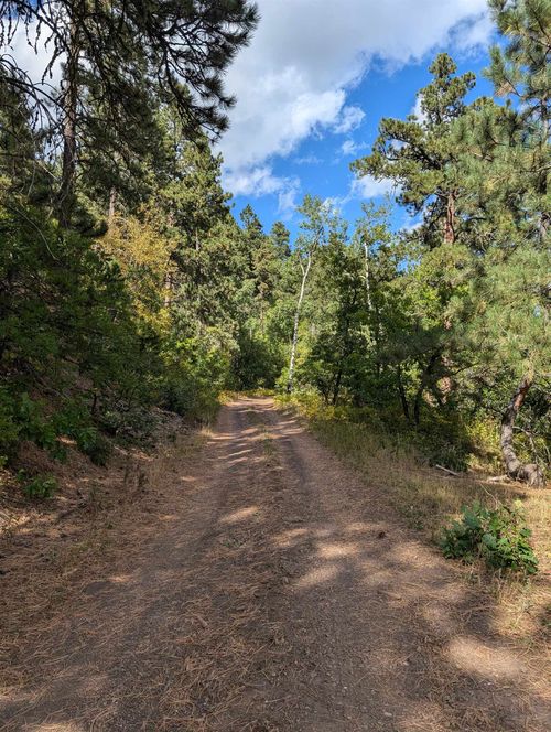 TBD Nevada Gulch Rd, LEAD, SD, 57754 | Card Image