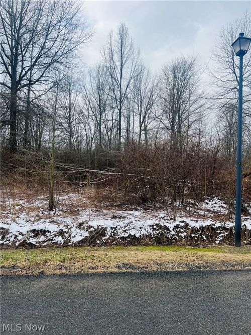 Lot 134 Breezewood Ln, Orwell, OH, 44076 | Card Image