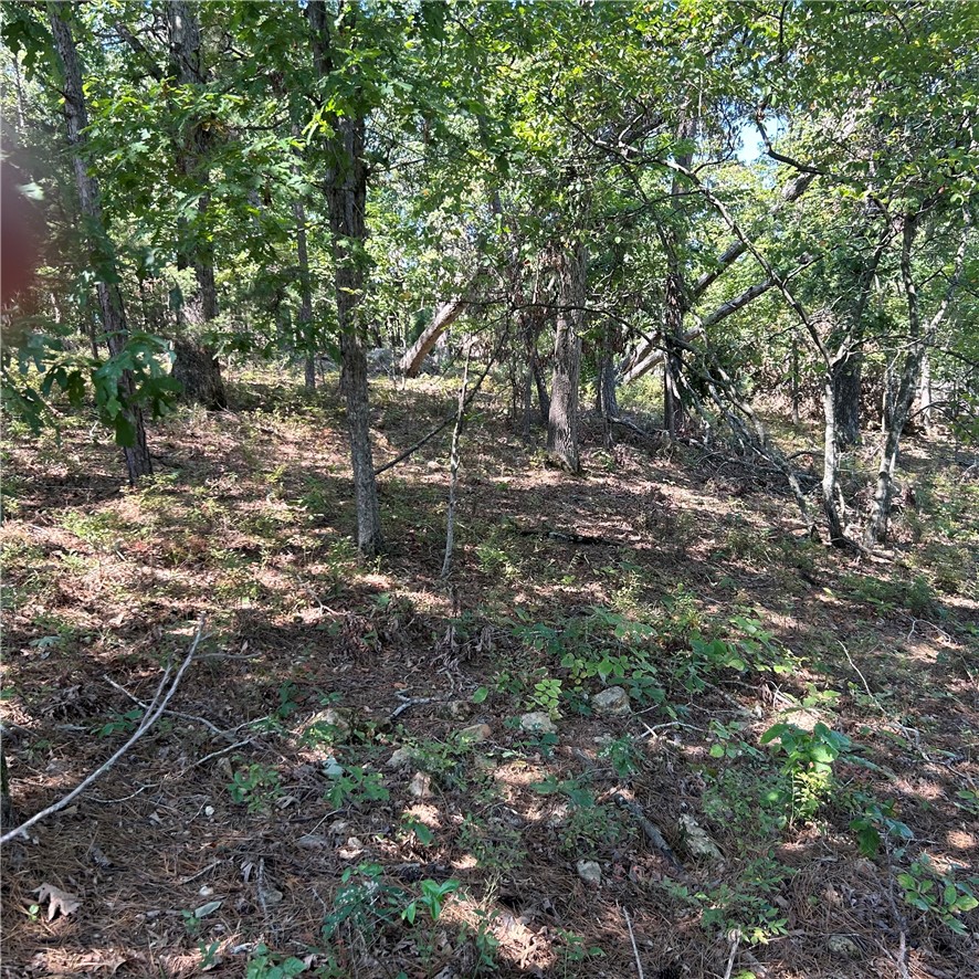 Land in Rogers 4