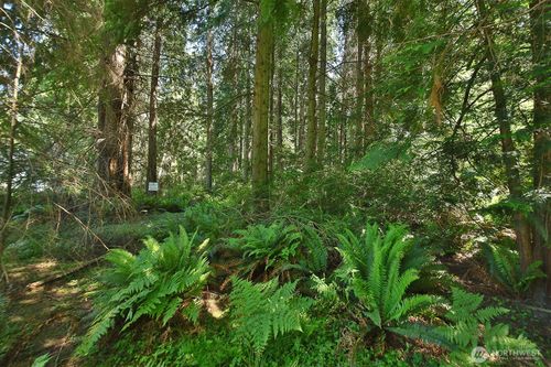 0 XXX E Harbor Rd, Freeland, WA, 98249 | Card Image